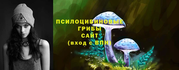 ECSTASY Алексин