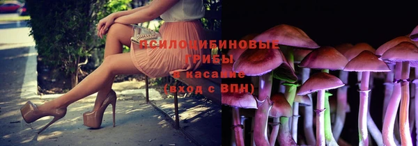 ПСИЛОЦИБИНОВЫЕ ГРИБЫ Алексеевка